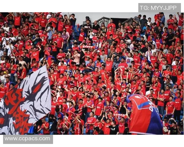 中超激战重庆斯威迎战河北华夏幸福争夺宝贵积分之战 中超激战重庆斯威迎战河北华夏幸福争夺宝贵积分之战