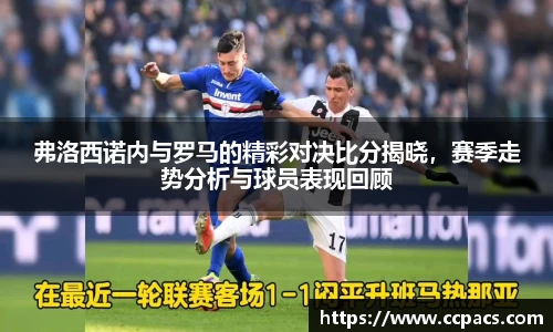 333体育官网